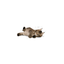 Royal Canin Maine Coon Kitten 1.37 kg