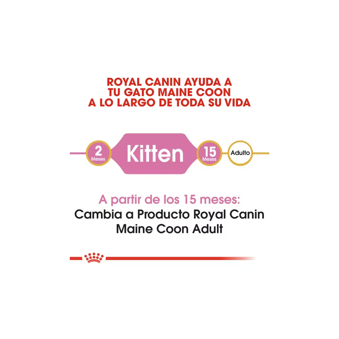 Royal Canin Maine Coon Kitten 1.37 kg