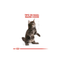 Royal Canin Maine Coon Kitten 1.37 kg
