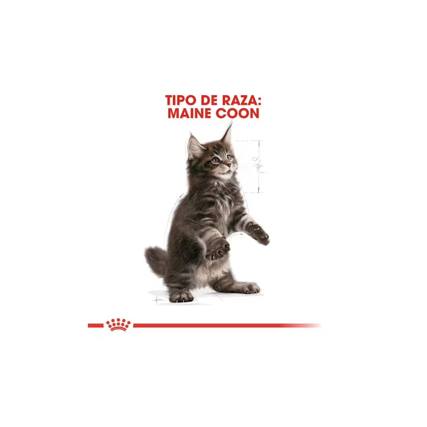 Royal Canin Maine Coon Kitten 1.37 kg
