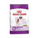 royal canin perros adultos