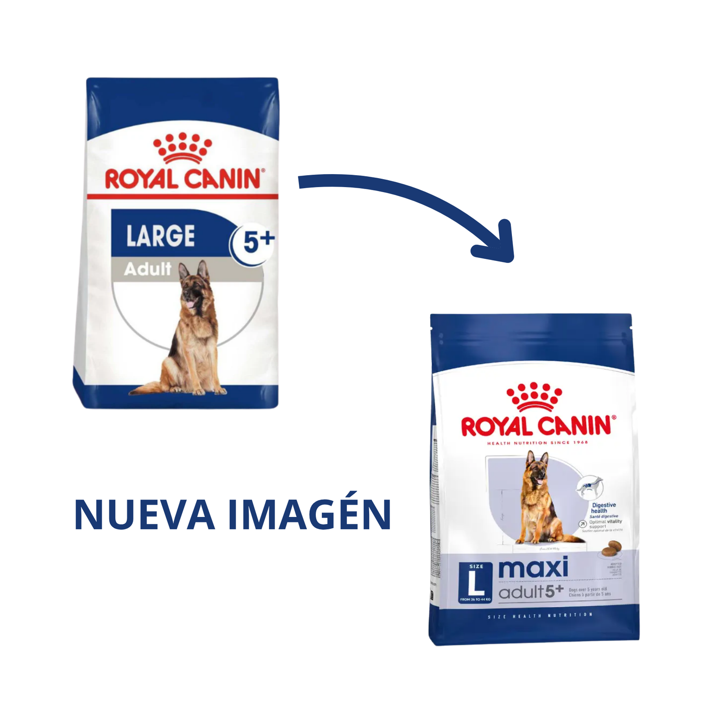 Royal Canin Senior Perros Maxi Large 5+ de 13.6kg