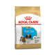 Royal Canin Shih Tzu Cachorro alimento seco para perro 1.1 Kg