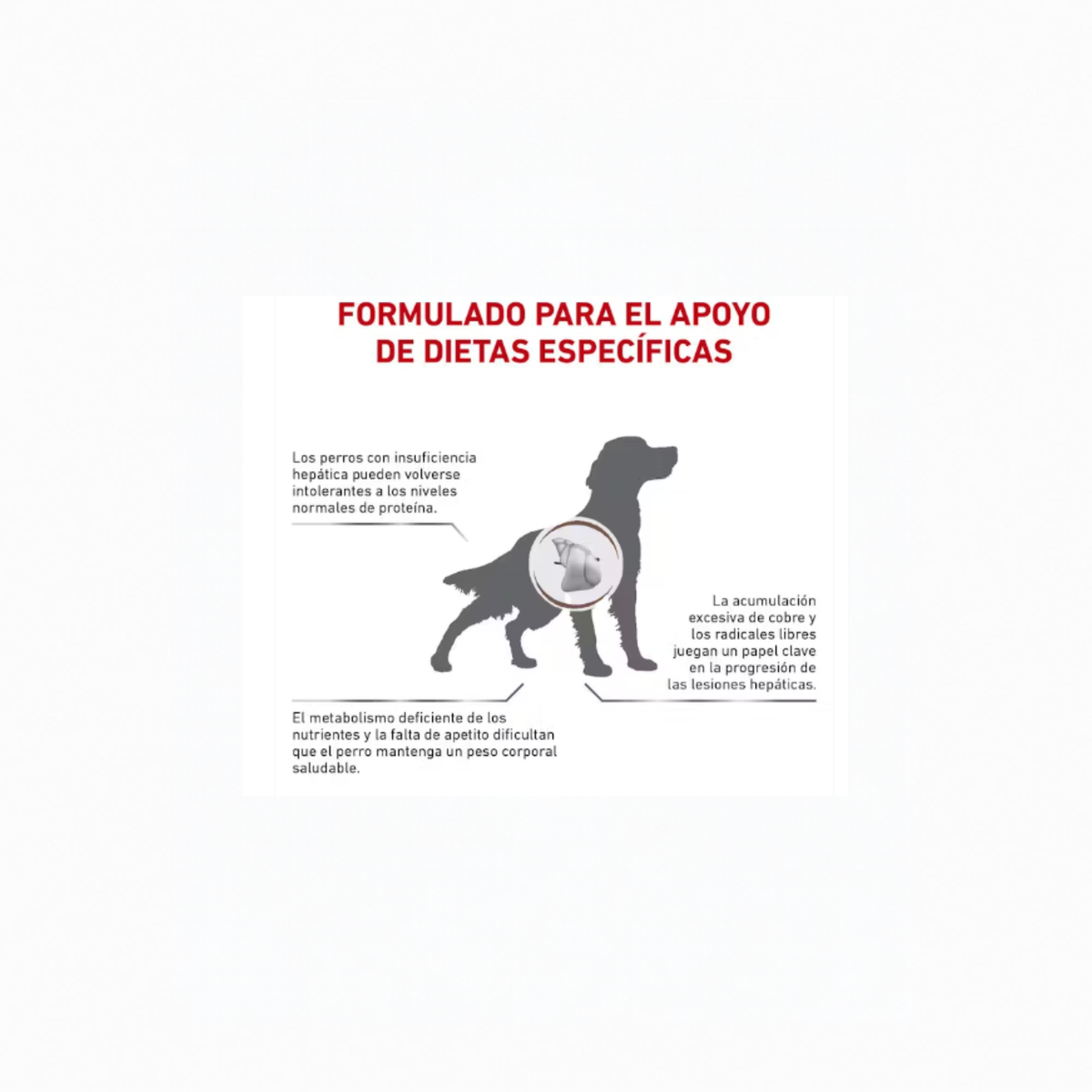 alimento hepático para perros