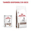 Lata Royal Canin Gastrointestinal Vet  High Energy 385 gr - AniMALL