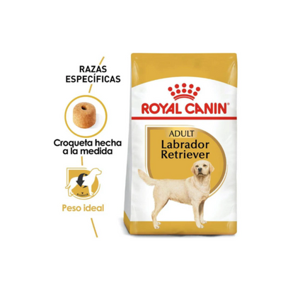Royal Canin Labrador Adulto