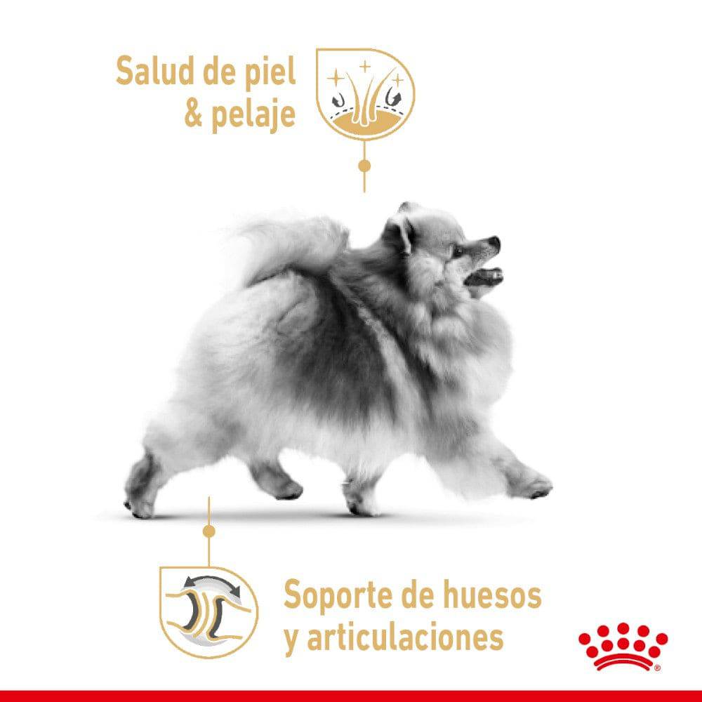 royal canin pomerania