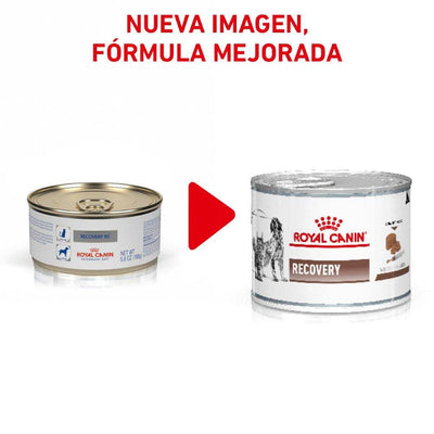 Royal Canin Recovery para perro y gato