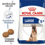 Royal Canin Senior Perros