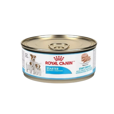 Royal Canin Starter