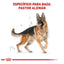 Royal canin pastor aleman