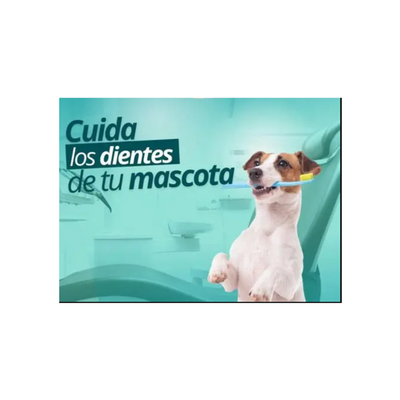 Spray Dental Para Perro 125 Ml, Sabor Menta, Fancy Pets