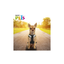 Fancy Pets Arnés Modelaje Corbatin Extra Grande para Perro