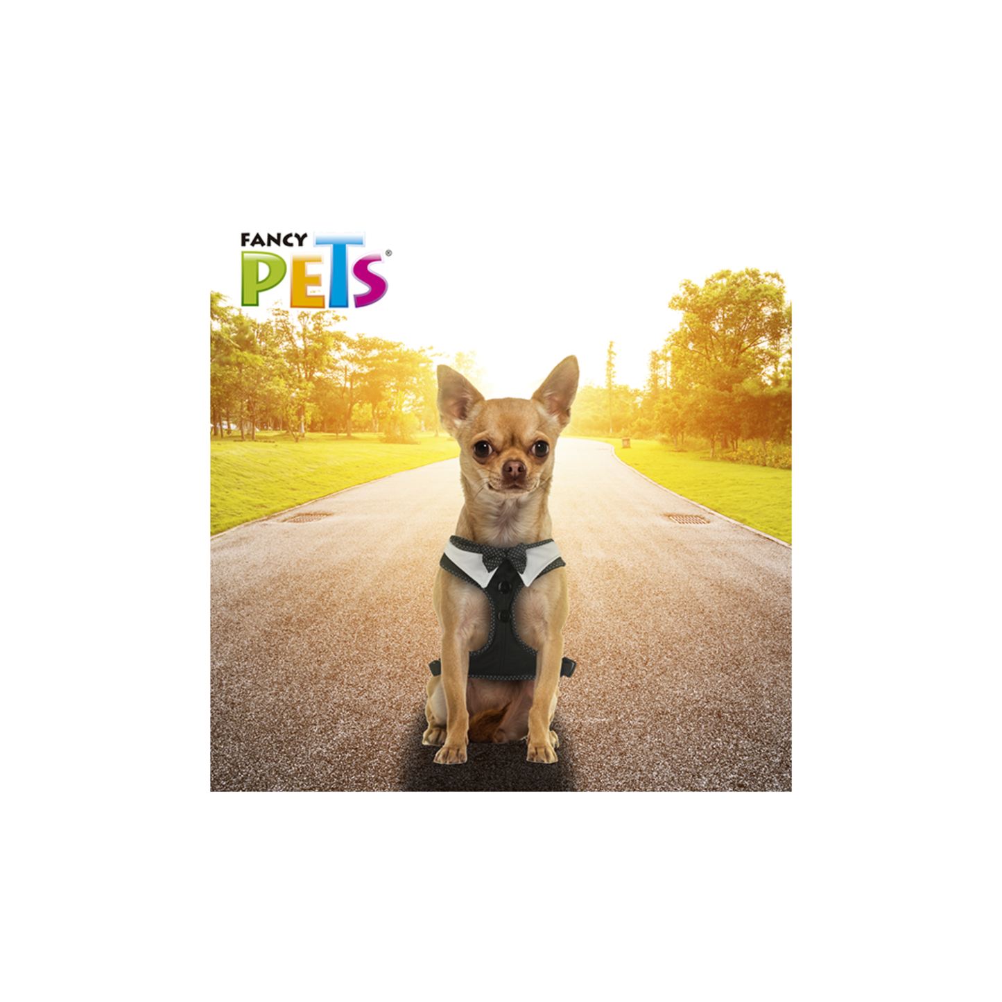 Fancy Pets Arnés Modelaje Corbatin Extra Grande para Perro