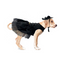 Toutmignon Disfraz de Viuda Negra Talla 0