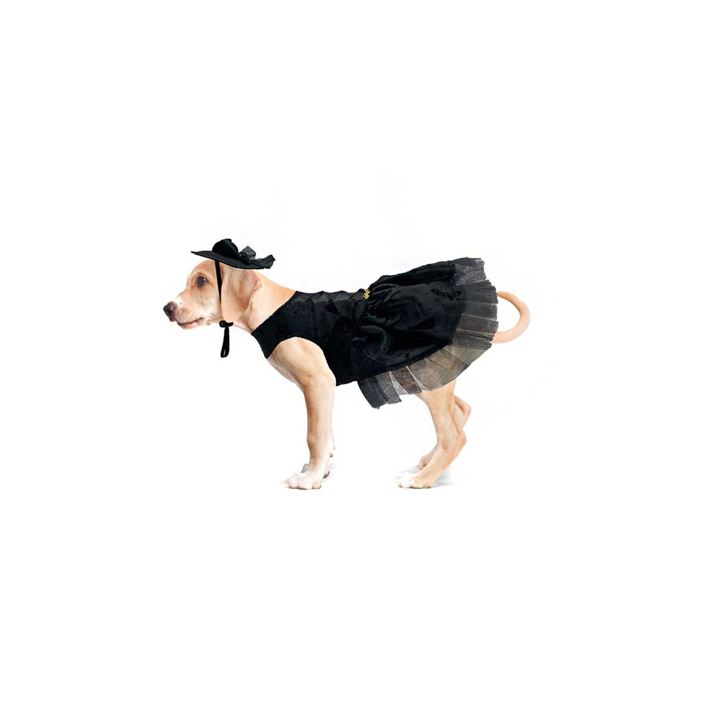 Toutmignon Disfraz de Viuda Negra Talla 0