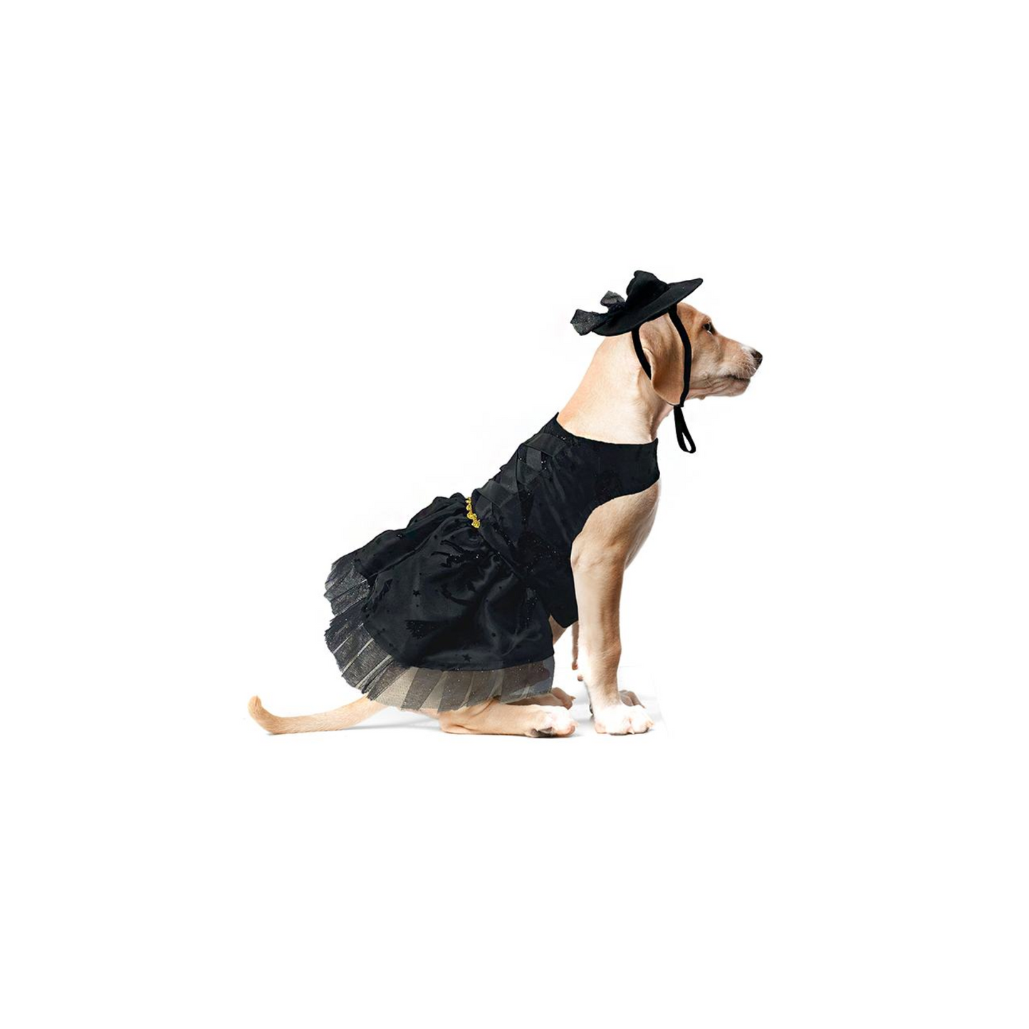 Toutmignon Disfraz de Viuda Negra Talla 0