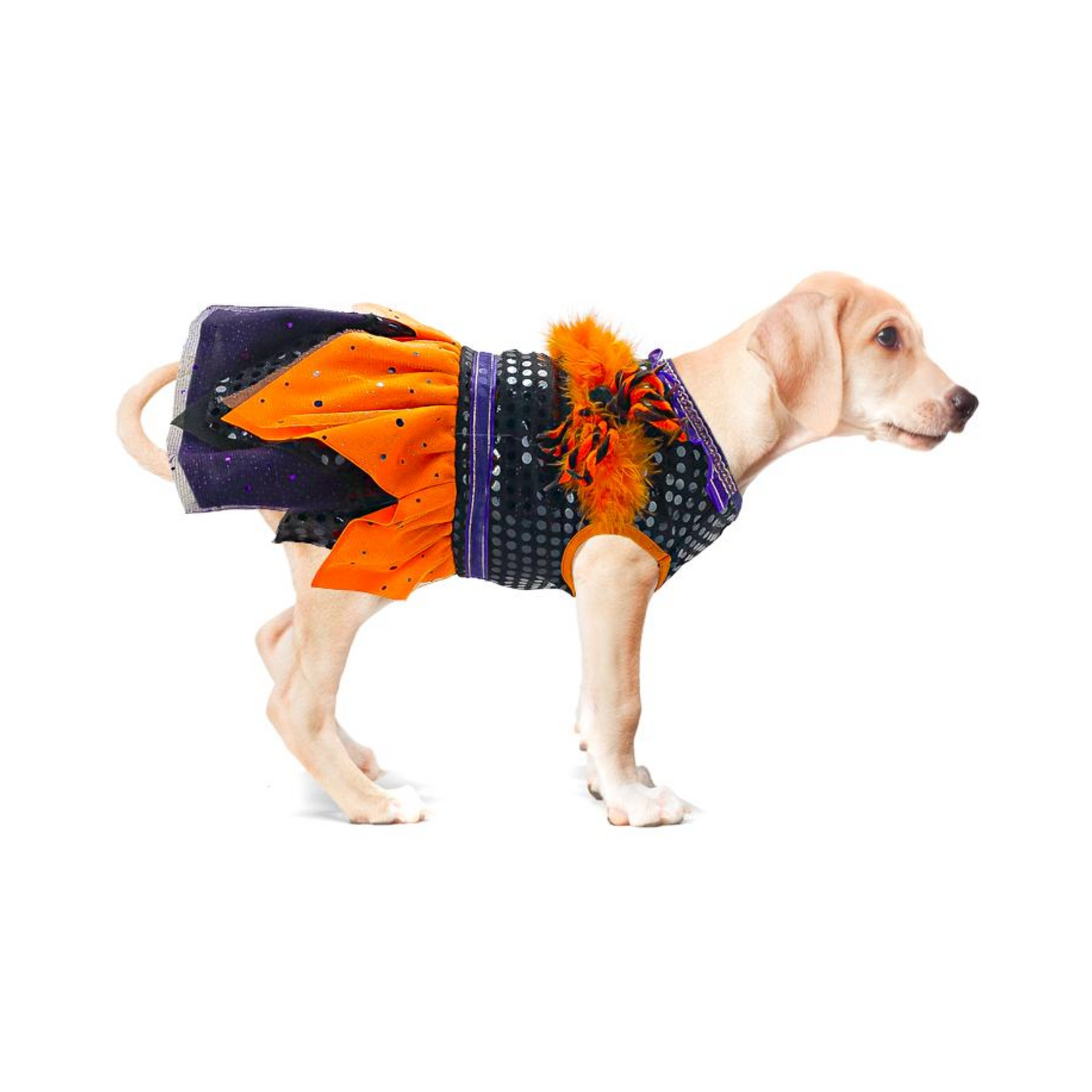 Toutmignon Vestido de Halloween Color Negro, Naranja y Morado con Araña Talla 0