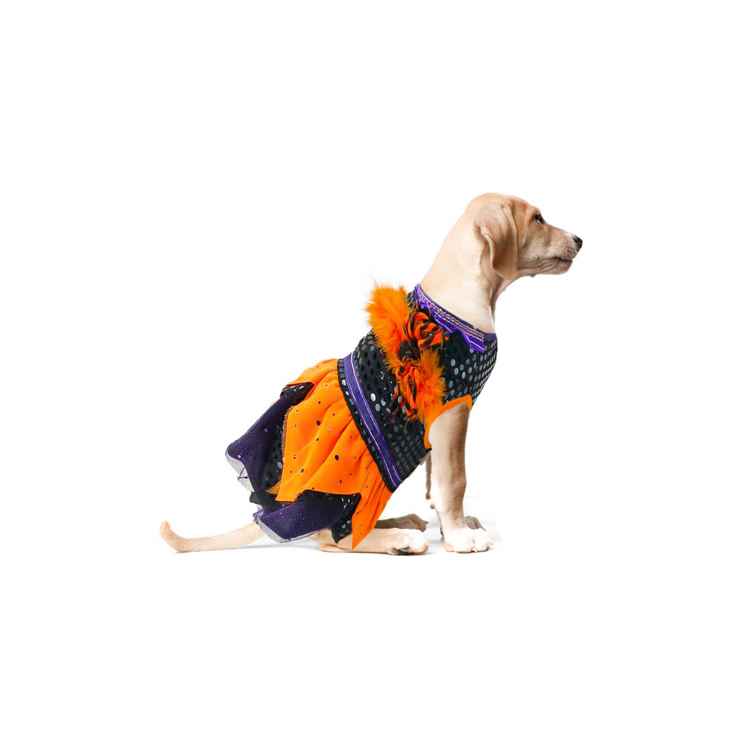 Toutmignon Vestido de Halloween Color Negro, Naranja y Morado con Araña Talla 0