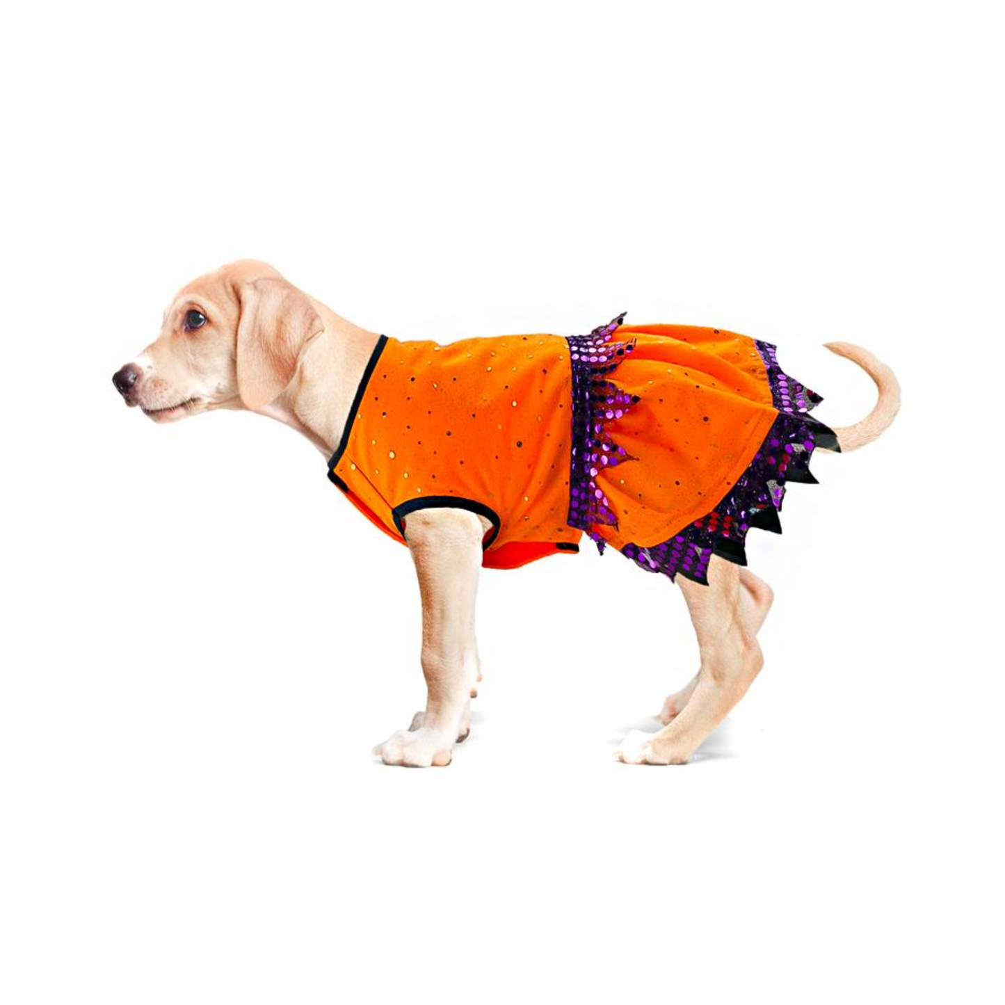 Toutmignon Vestido Color Naranja de Brujita con Lentejuelas Moradas Talla 1