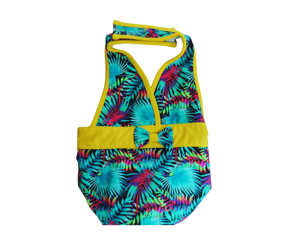 Traje de Baño Perro