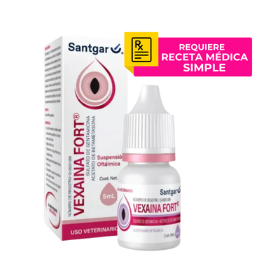 gentamicina para perros