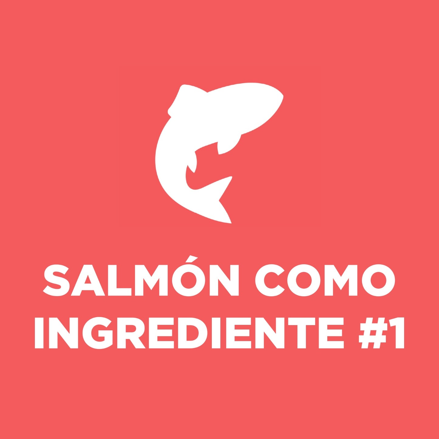 1 Lata Hill's Science Diet Adulto, alimento húmedo para gato adulto receta de salmón, 156g