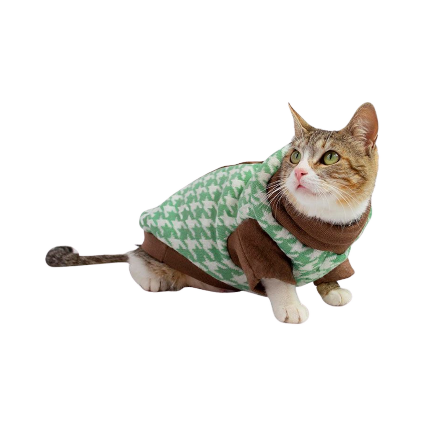 Zooeters Maitane Sueter Color Verde con Café Talla 1