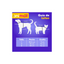 Zooeters Maitane Sueter Color Verde con Café Talla 1