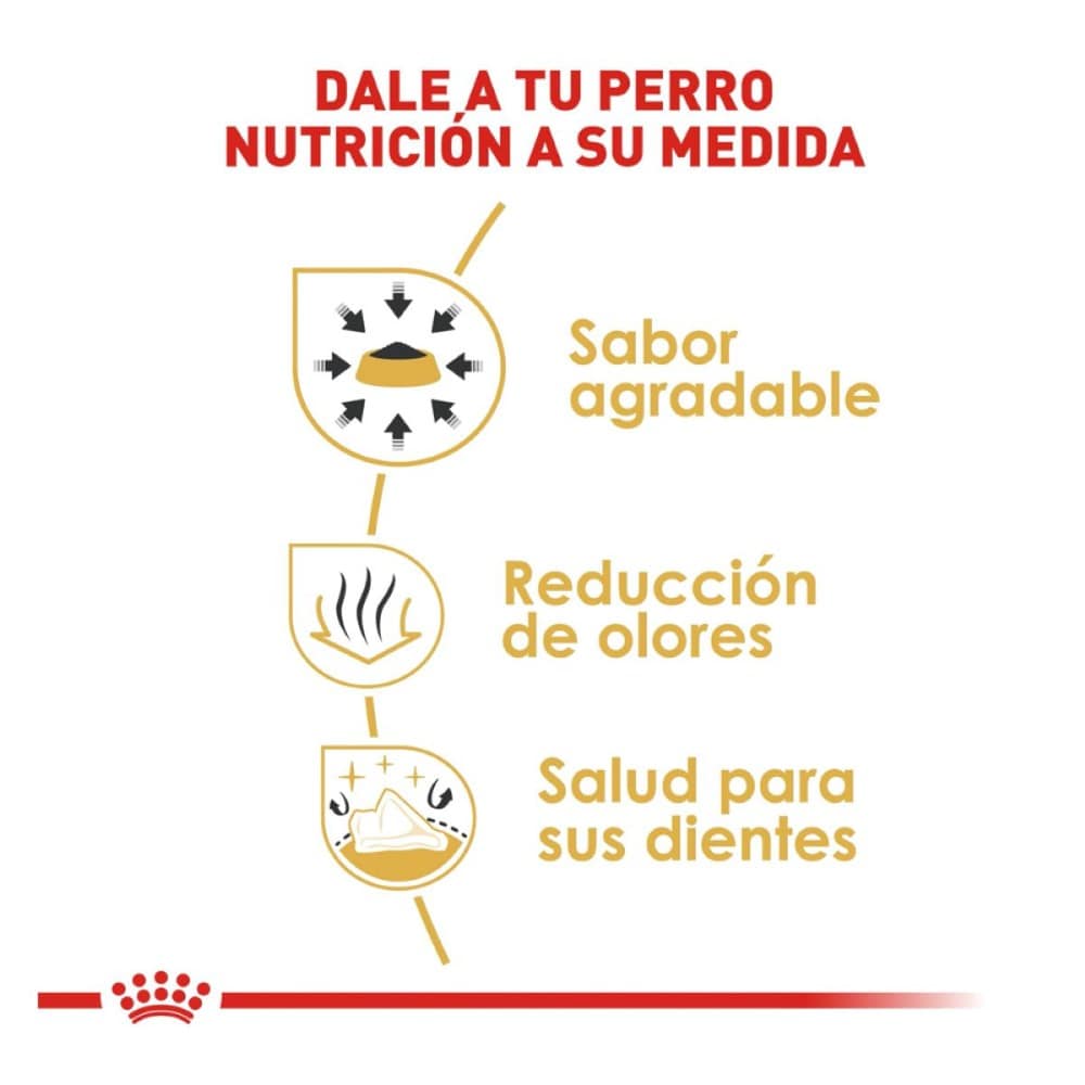 mejores croquetas para chihuahua