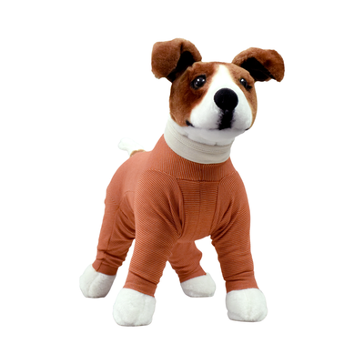 body de cobre para perros