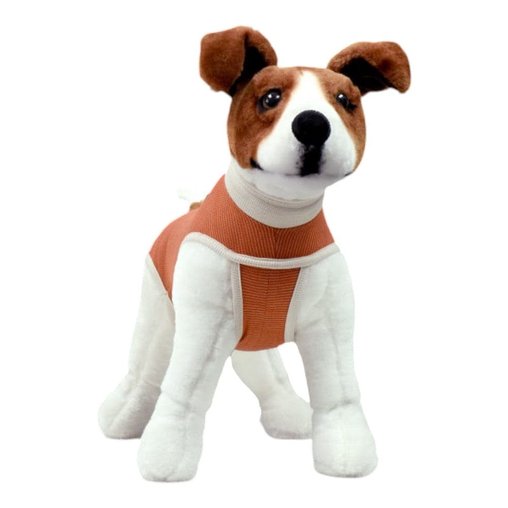 body para perros postoperatorio