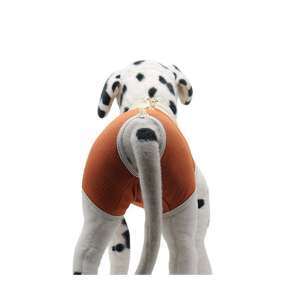 body postoperatorio perros
