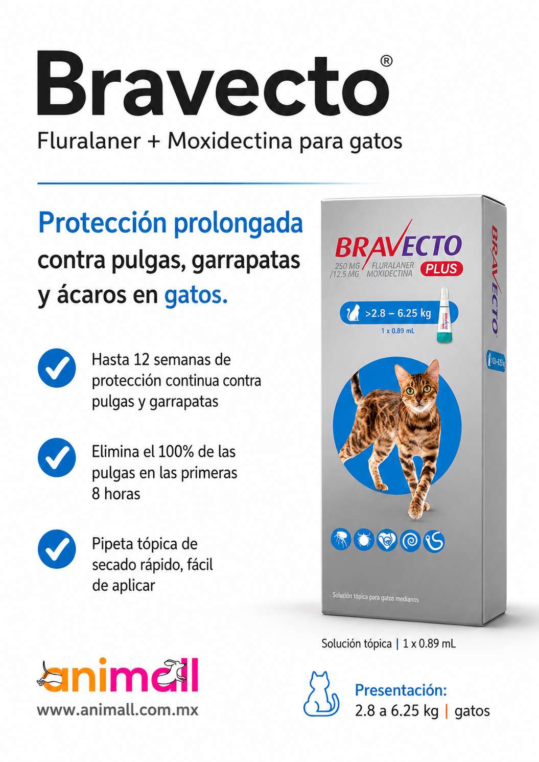 bravecto gpara gatos