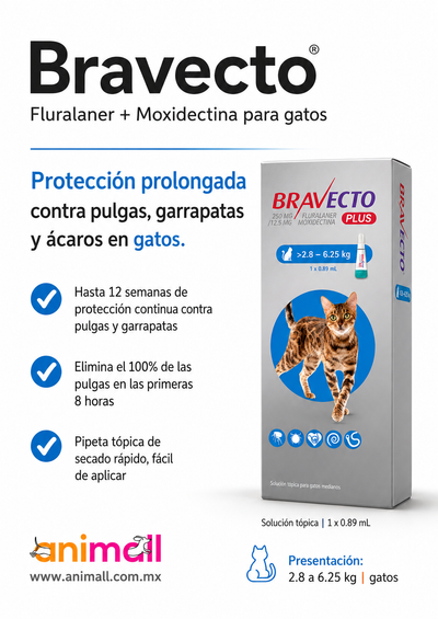 bravecto gpara gatos