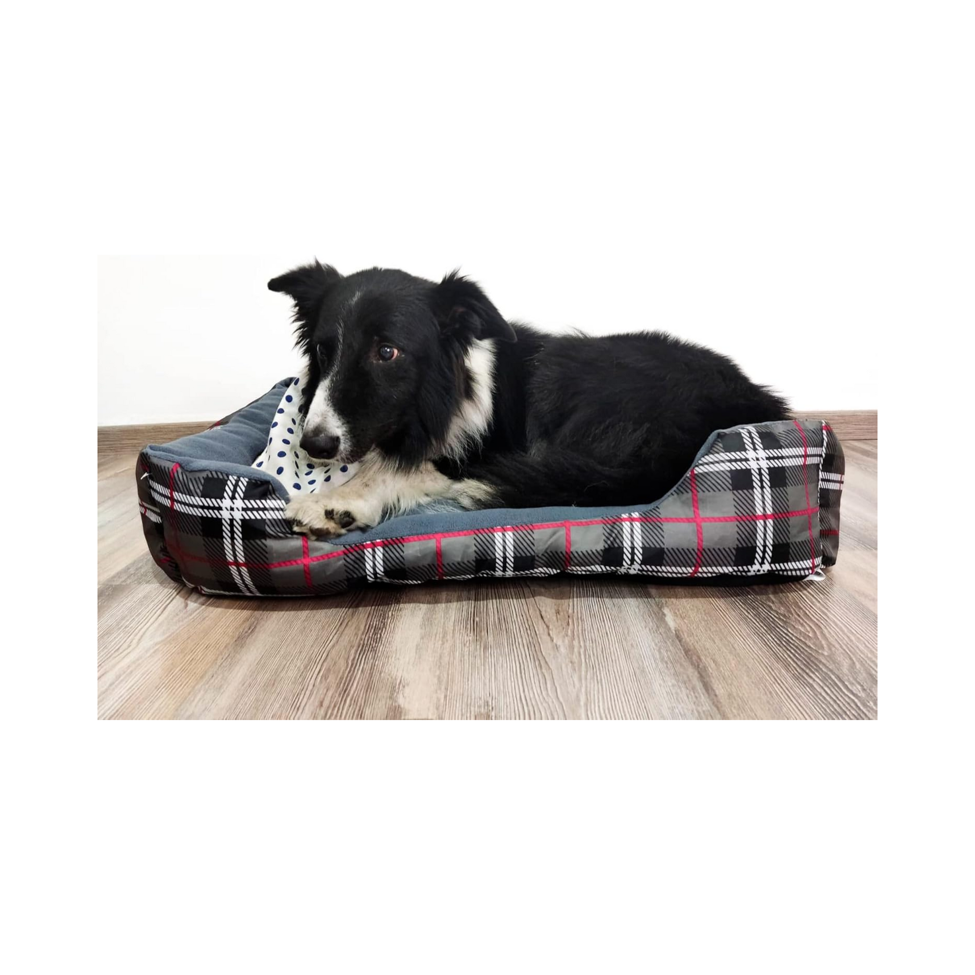 Cama de perro