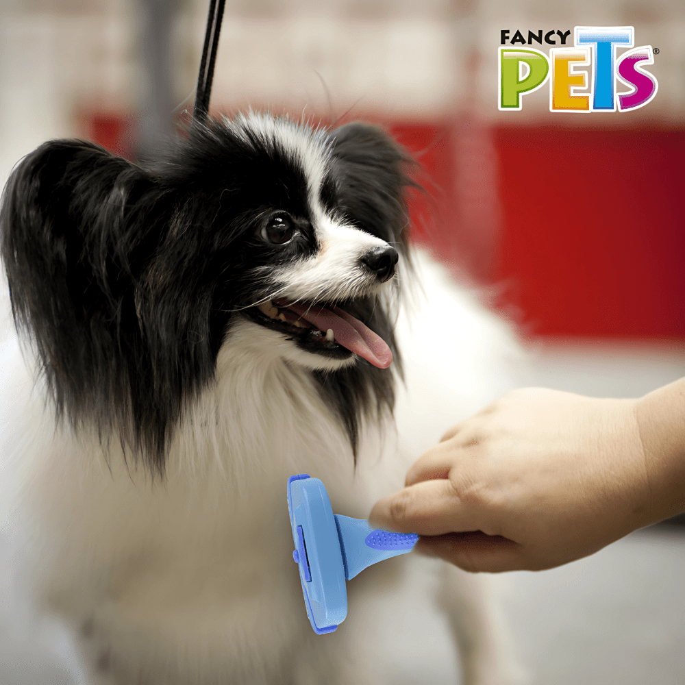 cepillo para deslanar perros