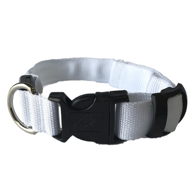collar perro led
