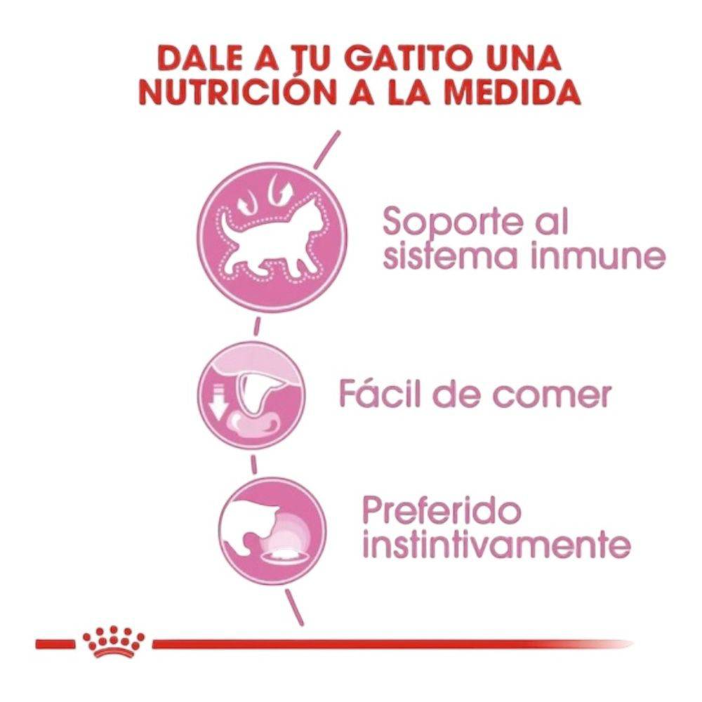 kitten royal canin