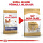 Bolsa Royal Canin Chihuahua Adulto 1.1 kg