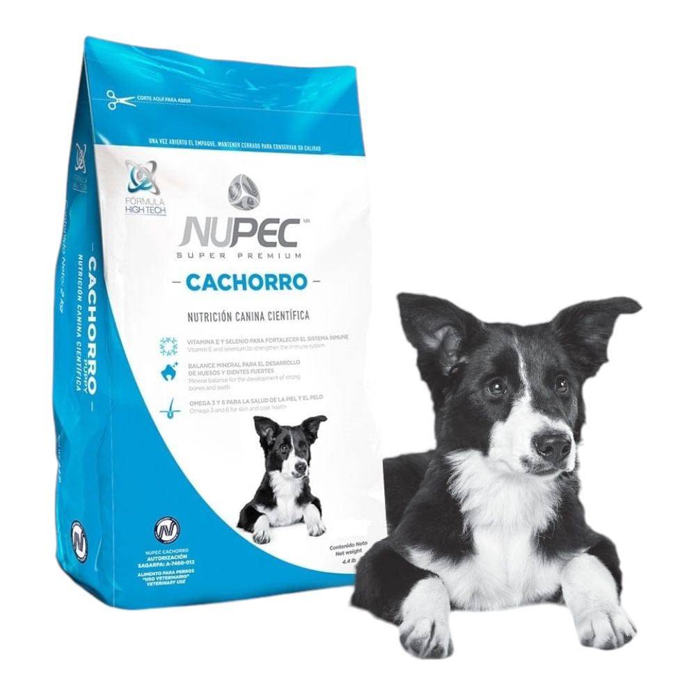nupec cachorro 8 kg