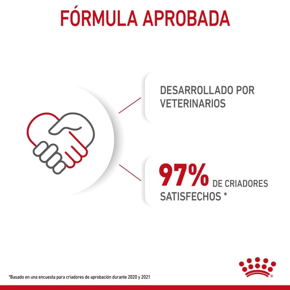 Royal Canin Cachorro Raza Pequeña