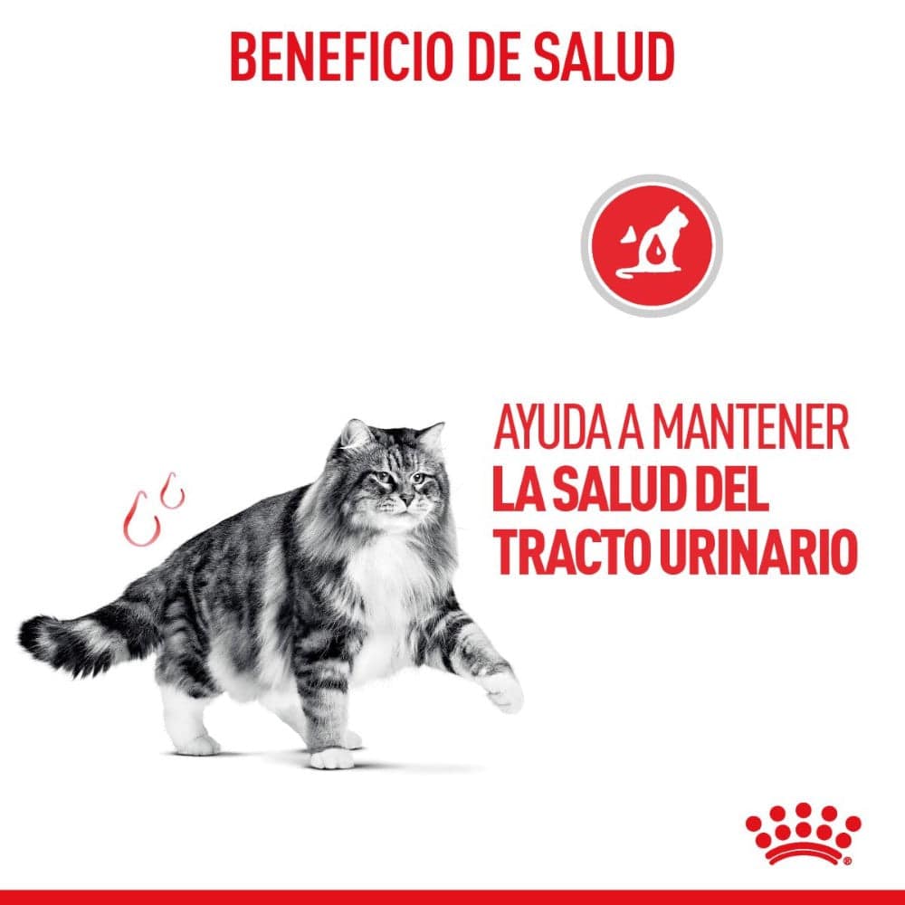 alimento para gatos urinary