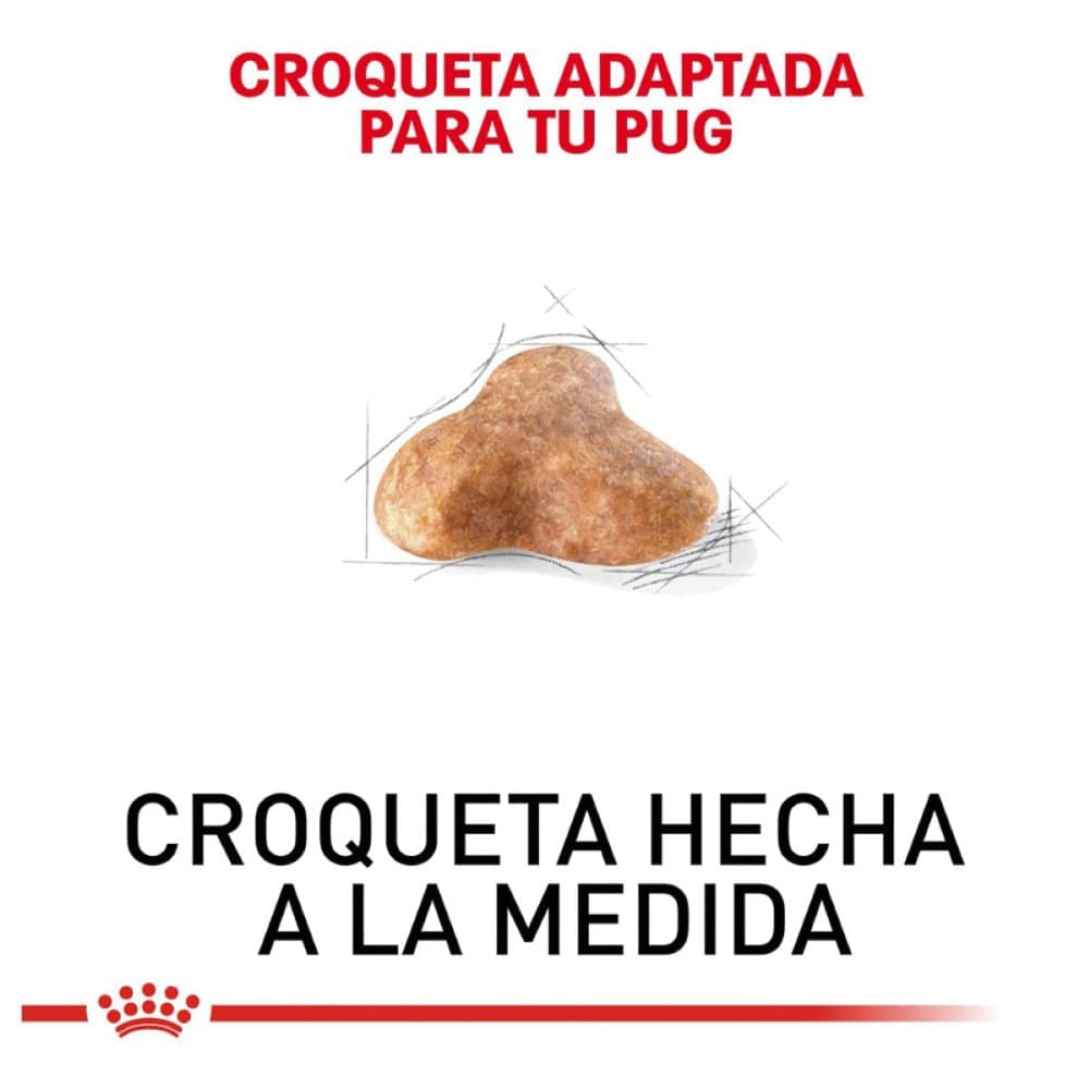 royal canin pug adulto