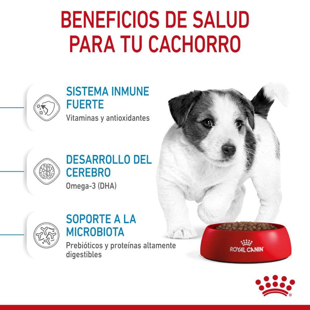 croquetas royal canin razas pequeñas