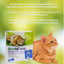 desparasitante para gatos drontal
