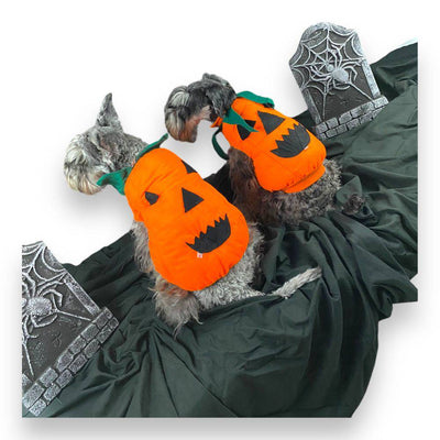 disfraz calabaza halloween