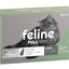 feline full spot gatos