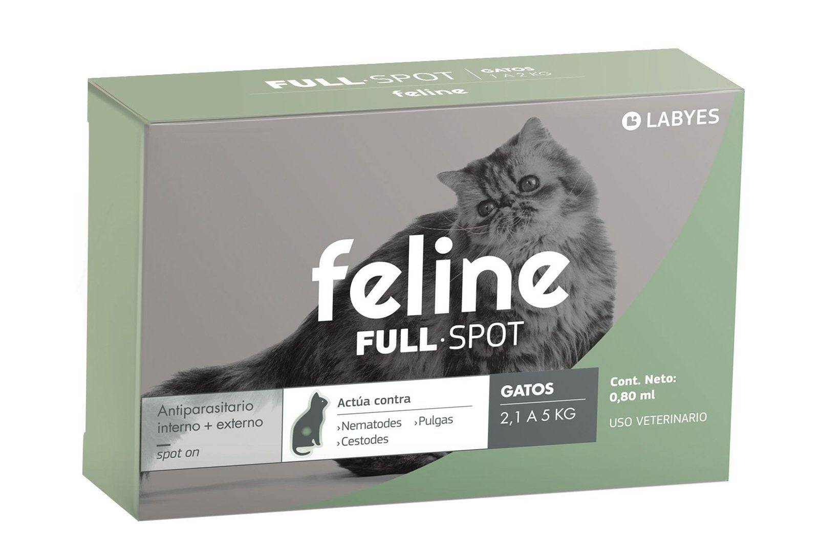 feline full spot gatos