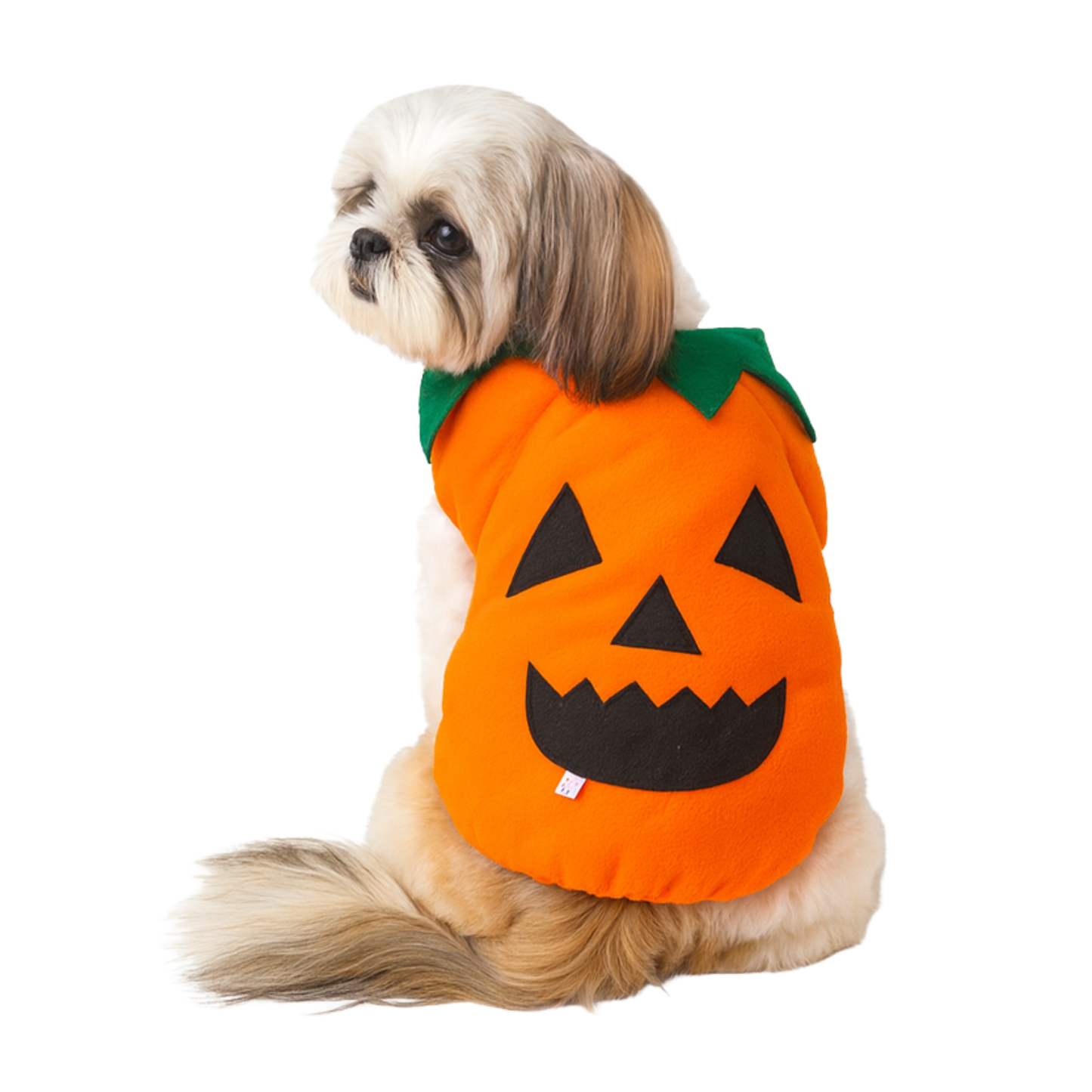 Disfraz Calabaza Halloween Talla S